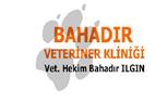 Bahadır Veteriner Muayenesi - Yalova